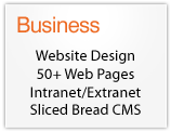 Business Fixed Priced Website and Intranet