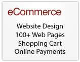eCommerce Fixed Price Website - Start Selling online now!