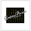 Company Planners